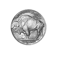 Buffalo Nickles [-$234.00]