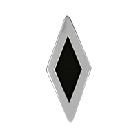 Polished Silver/Black (DPSB) [+$400.00]